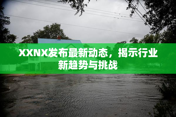 XXNX发布最新动态，揭示行业新趋势与挑战