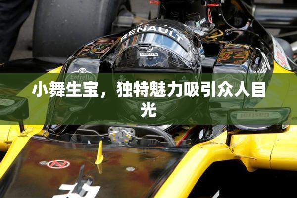 小舞生宝，独特魅力吸引众人目光
