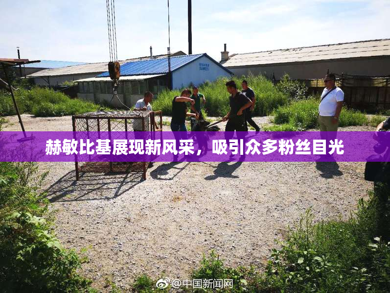 赫敏比基展现新风采，吸引众多粉丝目光