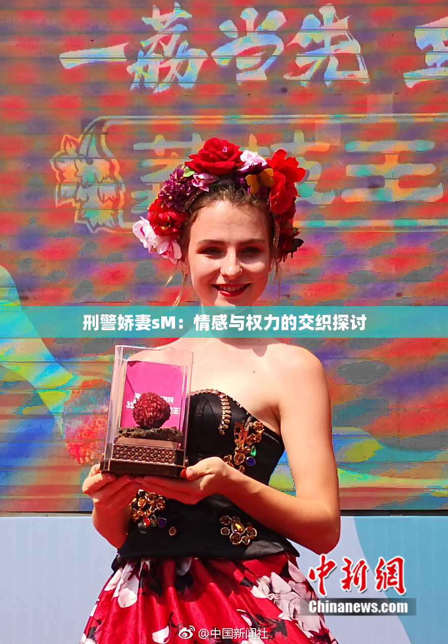 刑警娇妻sM：情感与权力的交织探讨