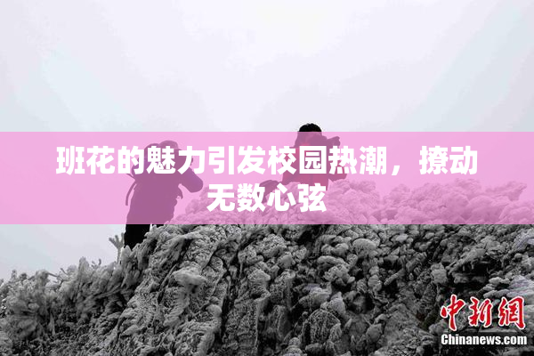 班花的魅力引发校园热潮，撩动无数心弦