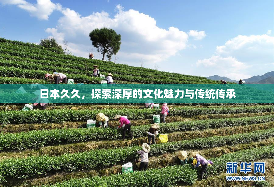 日本久久，探索深厚的文化魅力与传统传承