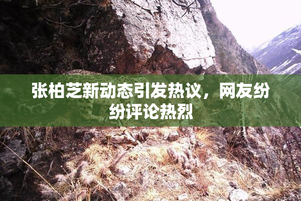 张柏芝新动态引发热议，网友纷纷评论热烈