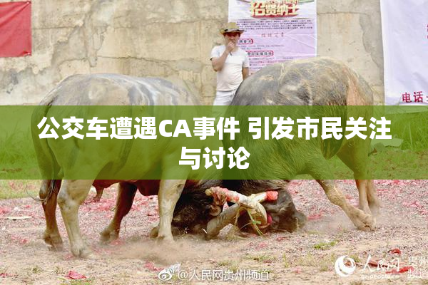 公交车遭遇CA事件 引发市民关注与讨论