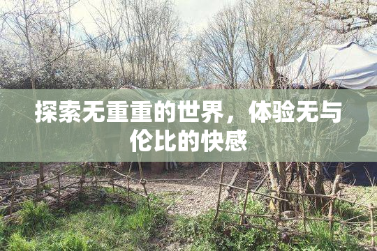 探索无重重的世界，体验无与伦比的快感
