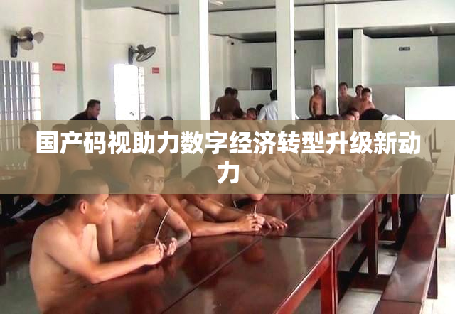 国产码视助力数字经济转型升级新动力