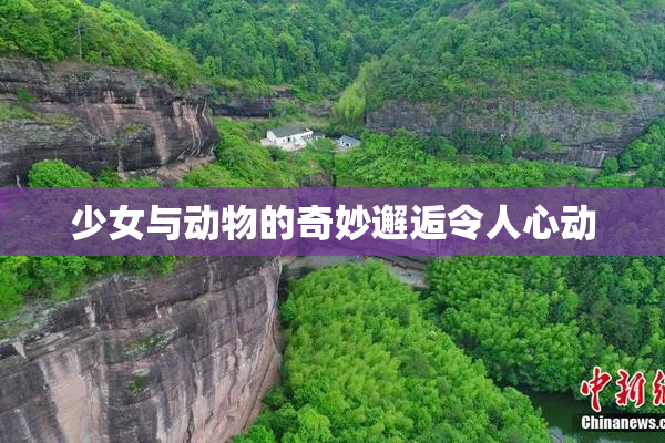 少女与动物的奇妙邂逅令人心动