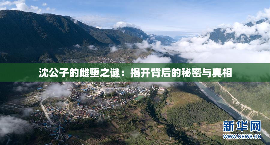 沈公子的雌堕之谜：揭开背后的秘密与真相