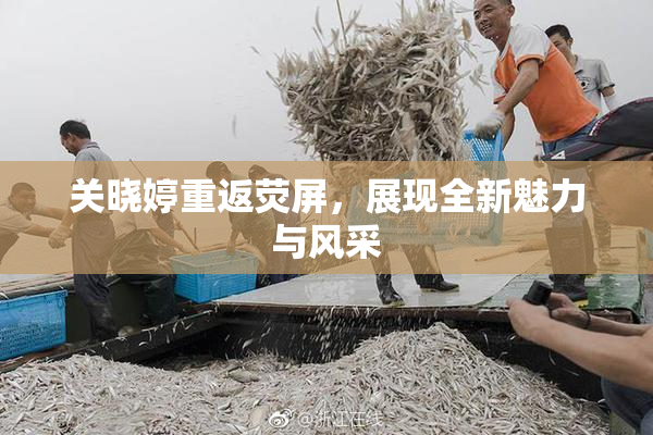 关晓婷重返荧屏，展现全新魅力与风采