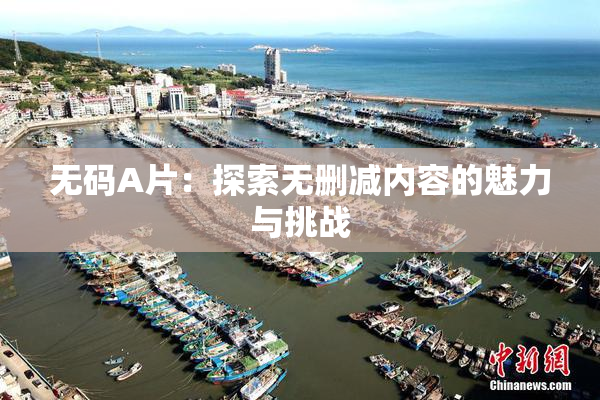 无码A片：探索无删减内容的魅力与挑战