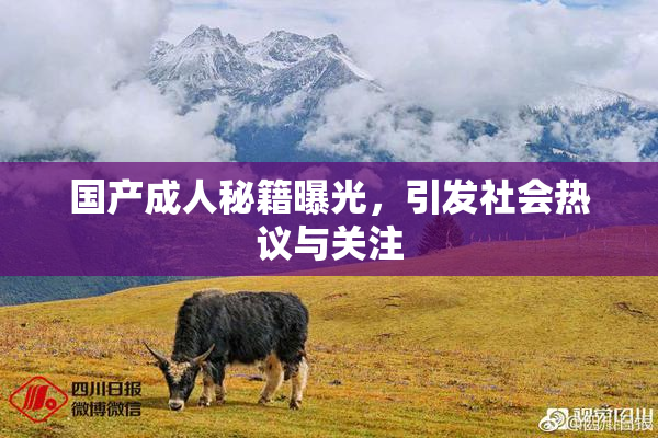 国产成人秘籍曝光，引发社会热议与关注