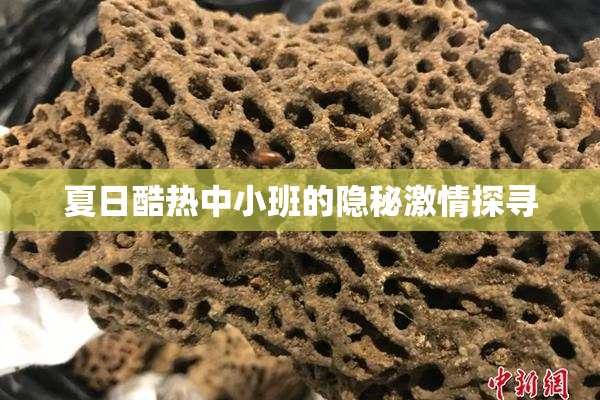 夏日酷热中小班的隐秘激情探寻