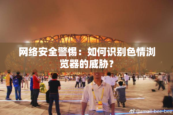 网络安全警惕：如何识别色情浏览器的威胁？