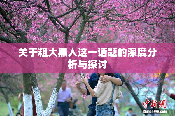 关于粗大黑人这一话题的深度分析与探讨