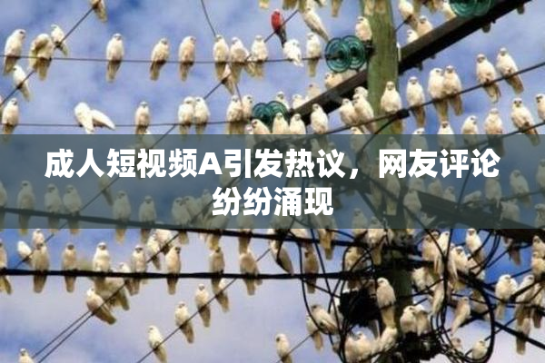 成人短视频A引发热议，网友评论纷纷涌现