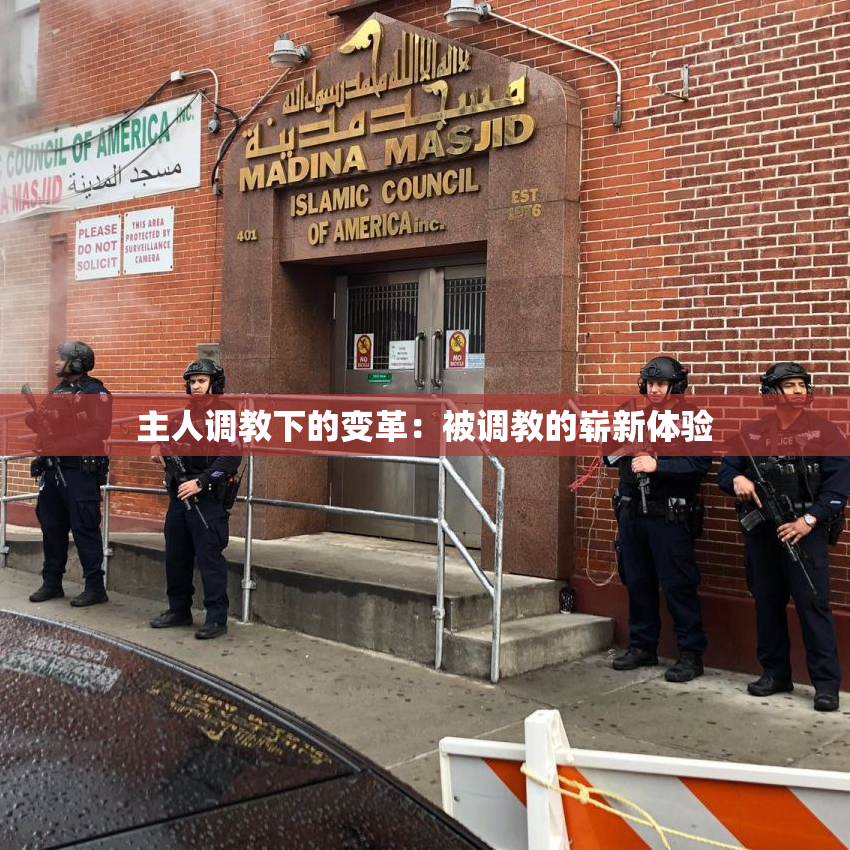 主人调教下的变革：被调教的崭新体验