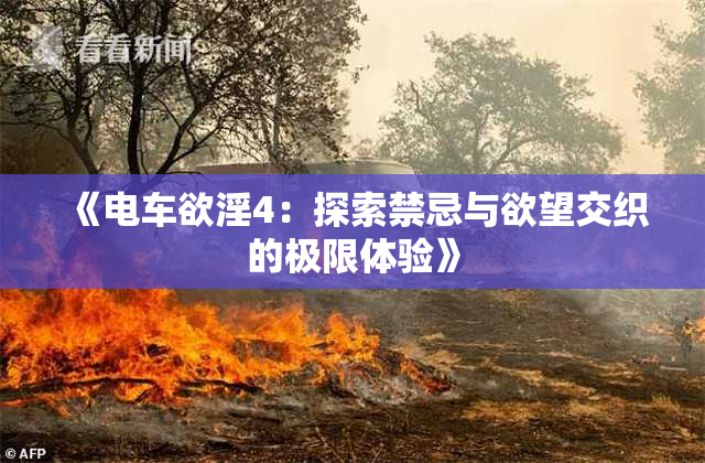 《电车欲淫4：探索禁忌与欲望交织的极限体验》