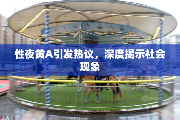 性夜黄A引发热议，深度揭示社会现象