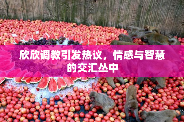 欣欣调教引发热议，情感与智慧的交汇丛中