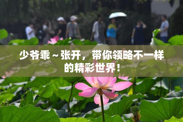 少爷乖～张开，带你领略不一样的精彩世界！