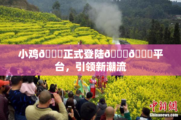 小鸡🐔正式登陆🍑🔞平台，引领新潮流