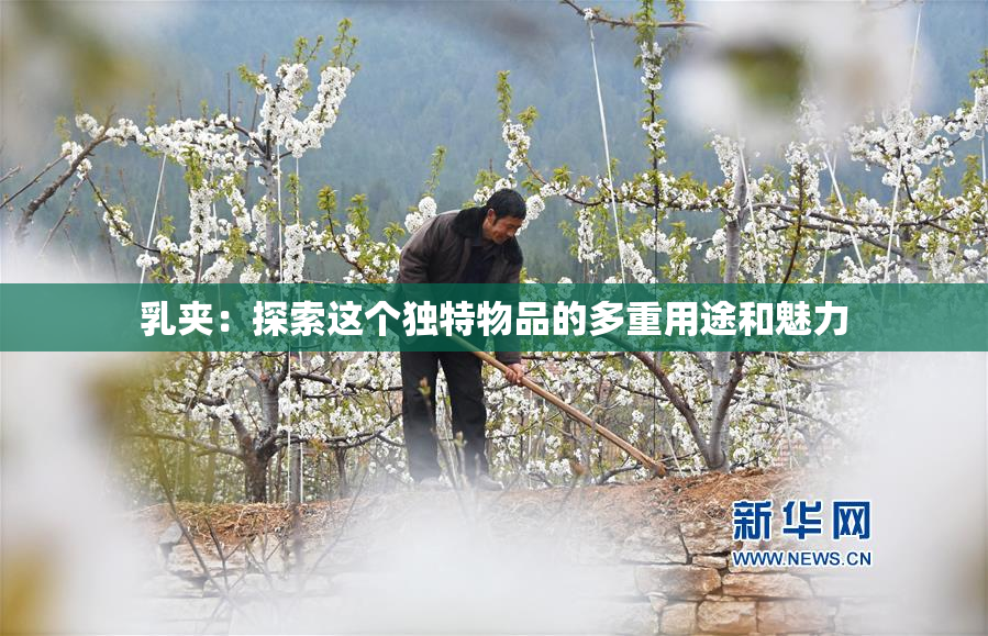 乳夹：探索这个独特物品的多重用途和魅力