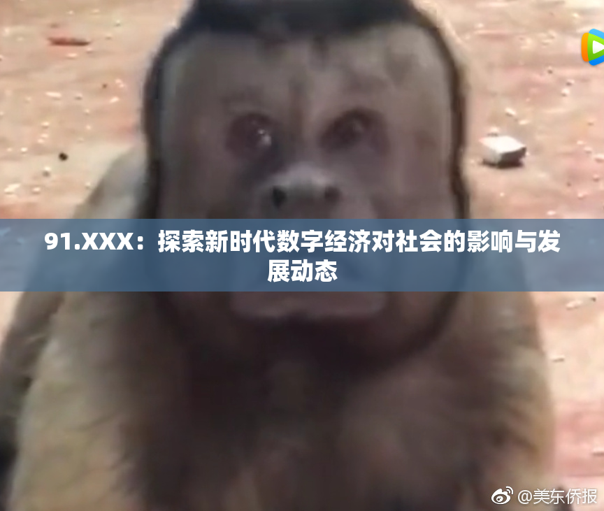 91.XXX：探索新时代数字经济对社会的影响与发展动态