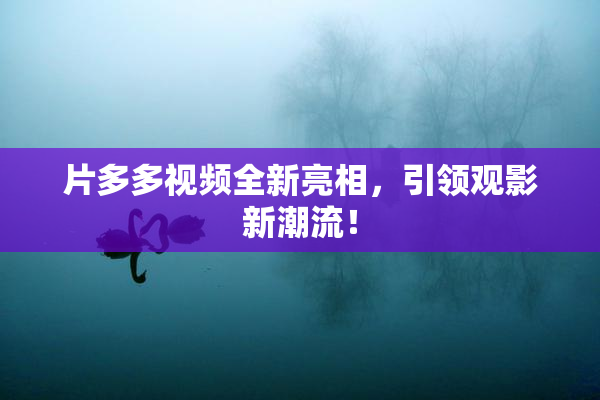 片多多视频全新亮相，引领观影新潮流！