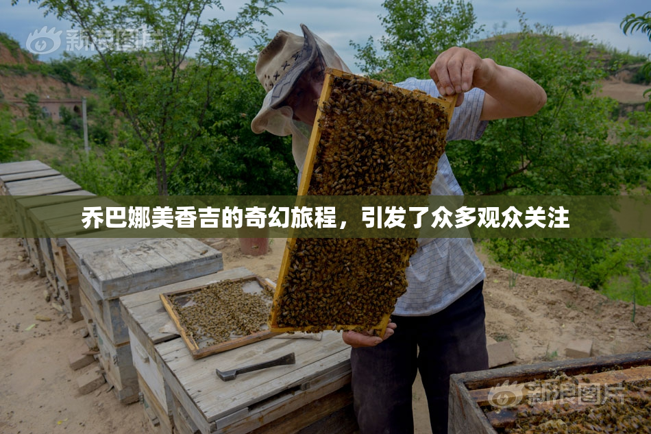 乔巴娜美香吉的奇幻旅程，引发了众多观众关注