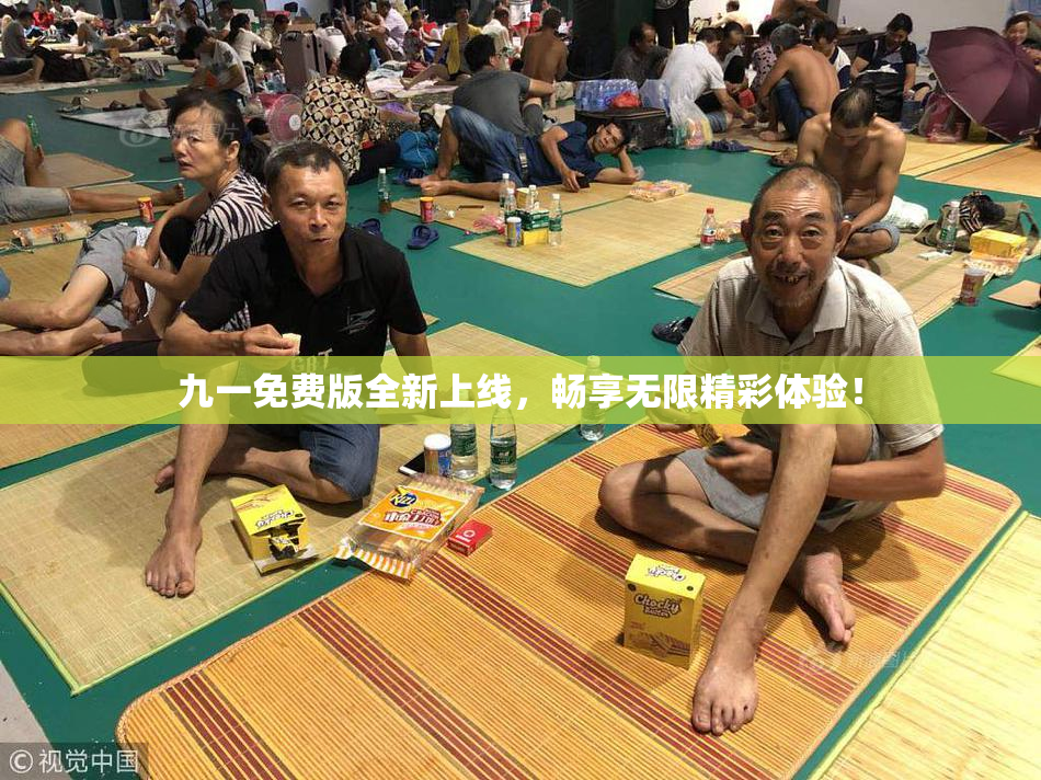 九一免费版全新上线，畅享无限精彩体验！