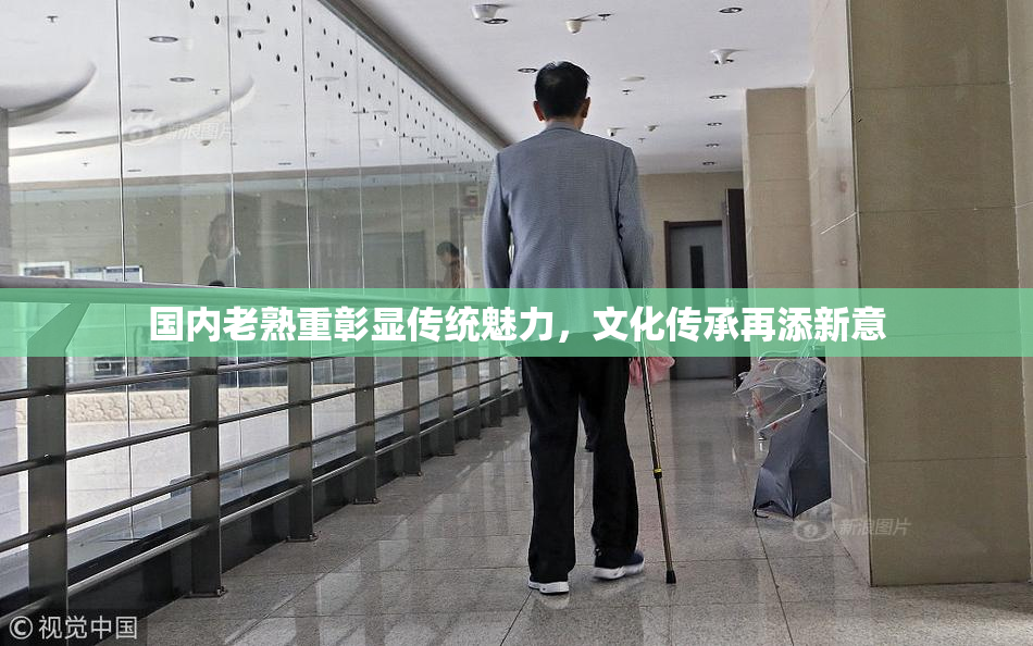 国内老熟重彰显传统魅力，文化传承再添新意