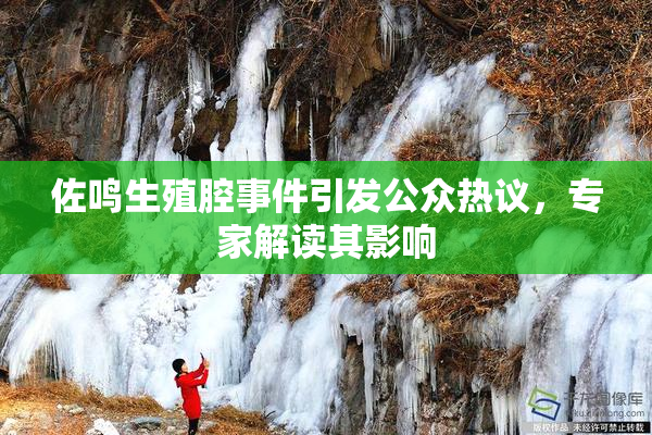 佐鸣生殖腔事件引发公众热议，专家解读其影响