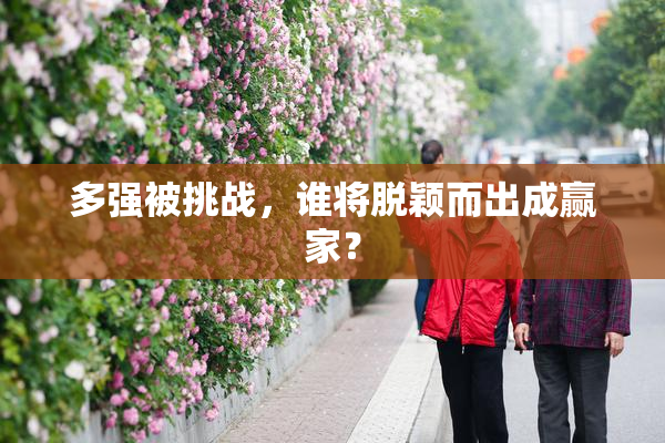 多强被挑战，谁将脱颖而出成赢家？