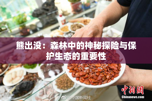 熊出没：森林中的神秘探险与保护生态的重要性