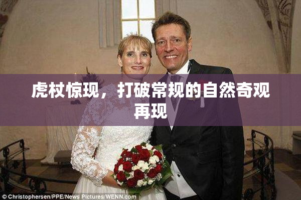 虎杖惊现，打破常规的自然奇观再现