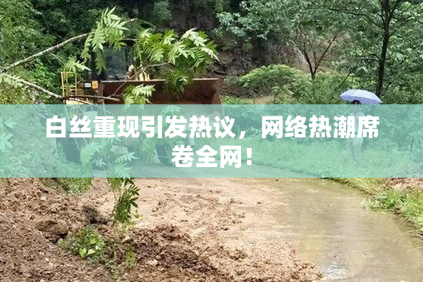 白丝重现引发热议，网络热潮席卷全网！