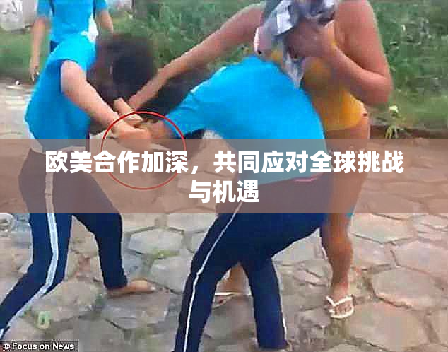 欧美合作加深，共同应对全球挑战与机遇