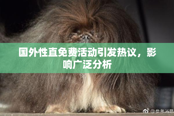 国外性直免费活动引发热议，影响广泛分析