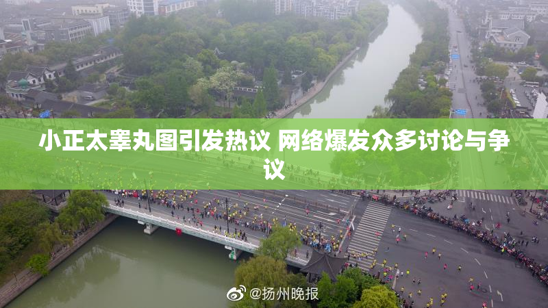 小正太睾丸图引发热议 网络爆发众多讨论与争议