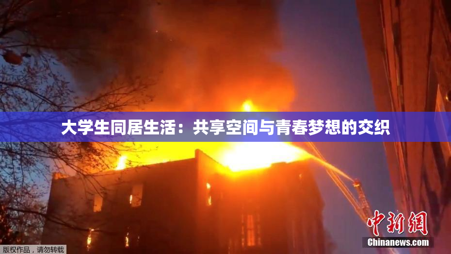 大学生同居生活：共享空间与青春梦想的交织