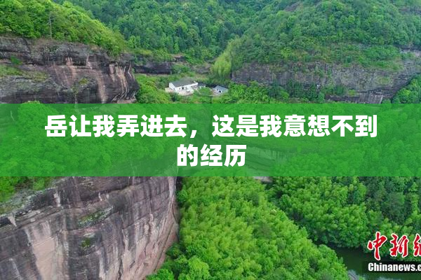 岳让我弄进去，这是我意想不到的经历