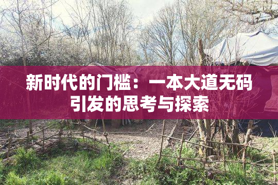 新时代的门槛：一本大道无码引发的思考与探索