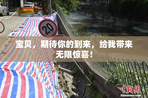 宝贝，期待你的到来，给我带来无限惊喜！