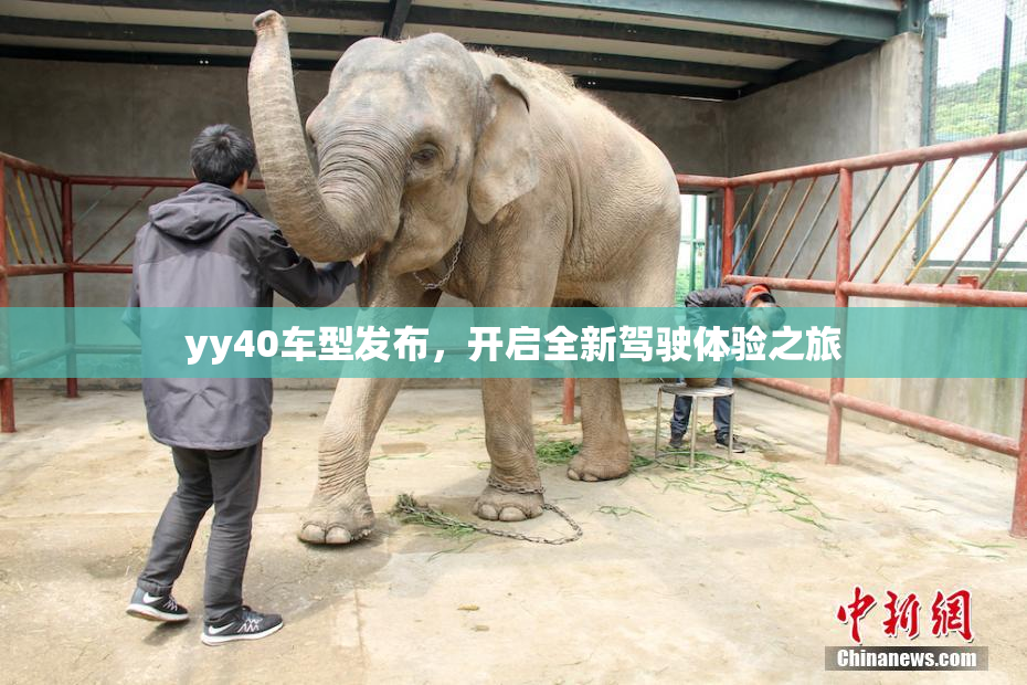yy40车型发布，开启全新驾驶体验之旅