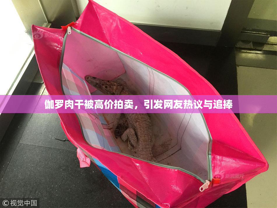伽罗肉干被高价拍卖，引发网友热议与追捧