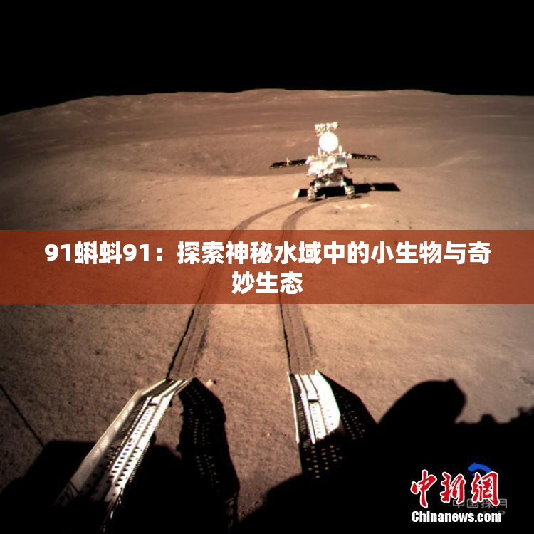 91蝌蚪91：探索神秘水域中的小生物与奇妙生态
