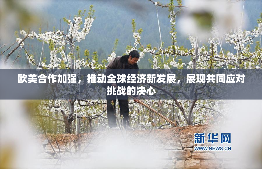 欧美合作加强，推动全球经济新发展，展现共同应对挑战的决心