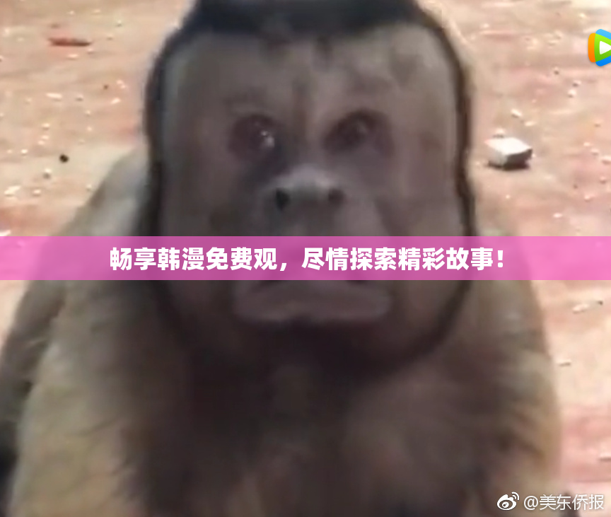 畅享韩漫免费观，尽情探索精彩故事！