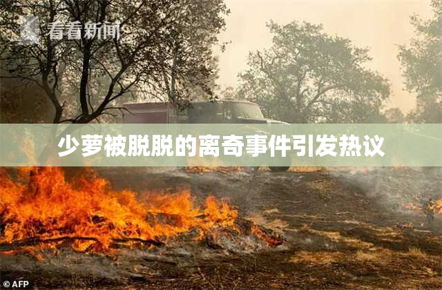 少萝被脱脱的离奇事件引发热议