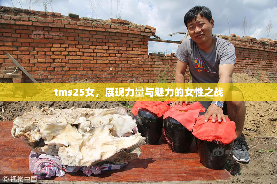 tms25女，展现力量与魅力的女性之战